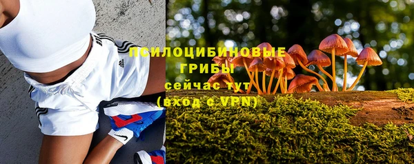 крисы Вяземский