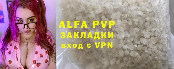 прущие грибы Верхний Тагил