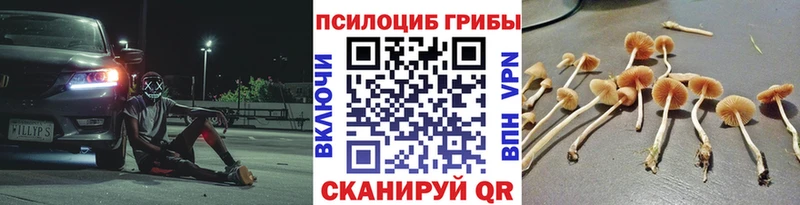 Галлюциногенные грибы мухоморы Жуков