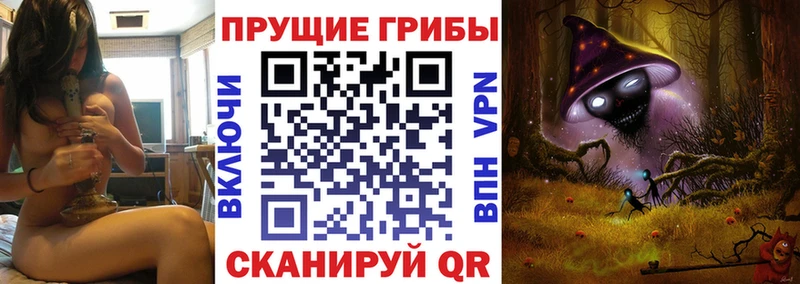 Галлюциногенные грибы Psilocybe  нарко площадка формула  Жуков  blacksprut рабочий сайт 